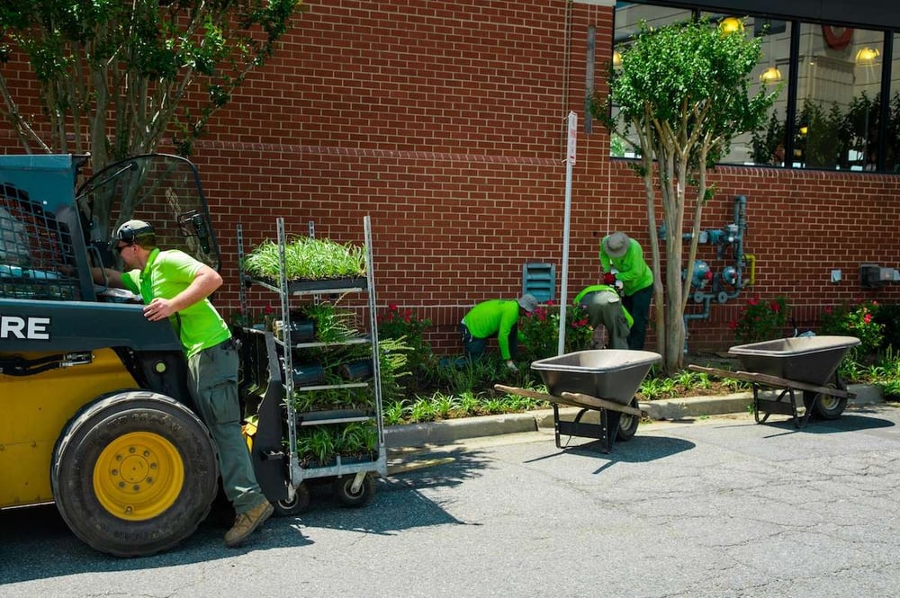The 7 Best Commercial Landscapers in Washington DC